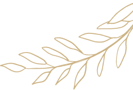 Branche stylisée avec feuilles, dessinée en ligne dorée.