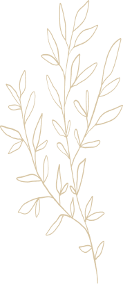 Illustration vectorielle d'une branche avec des feuilles fines.