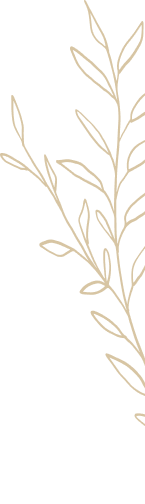Illustration de brindilles dorées sur fond noir.